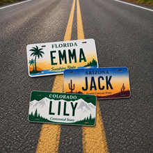 Custom State License Plate