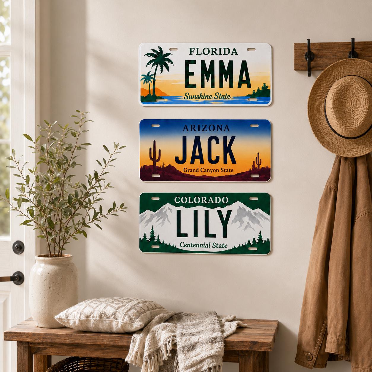 Custom State License Plate, Personalized 12x6 Aluminum Plate, Garage Wall Decor, Name Plate Gift