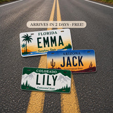 Custom State License Plate, Personalized 12x6 Aluminum Plate, Garage Wall Decor, Name Plate Gift